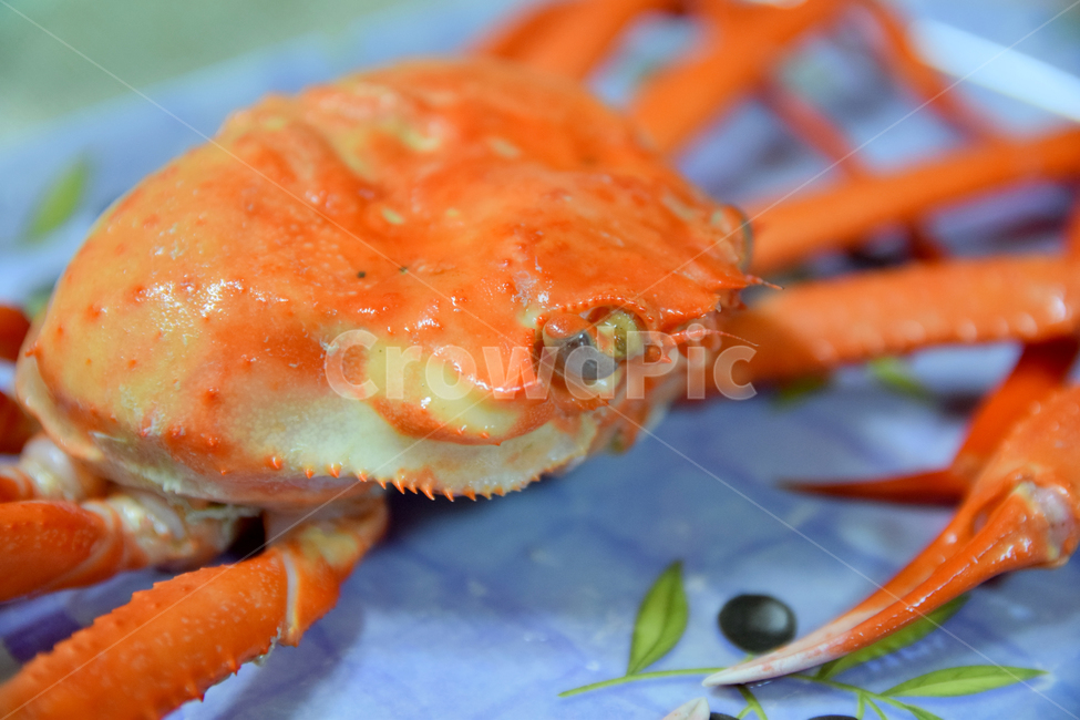 대게,홍게,게,영덕대게,해산물,해물,요리,cook,food,seafood,crab,음식,식재료,요리,food,cook,meal,dishes,food reserves,수산물,해산물,fishery products,seafood
