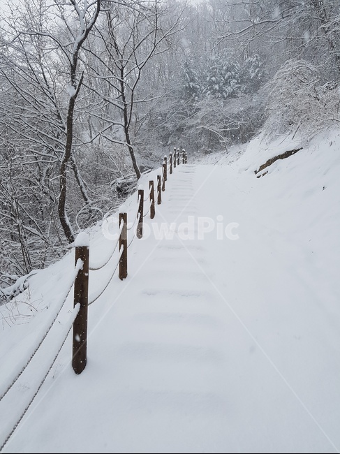 눈,겨울,폭설,풍경,대설,겨울,계절,winter,season