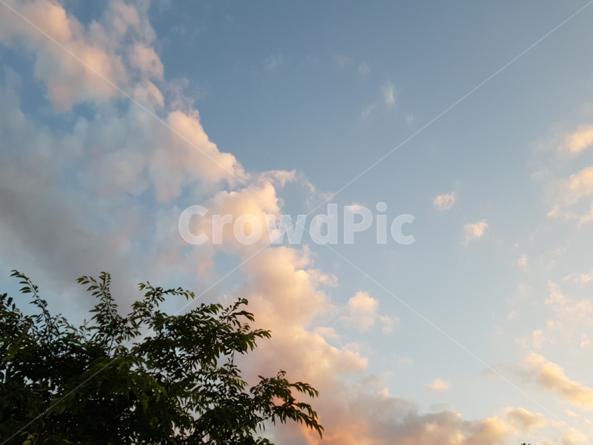구름,cloud,노을,sunset,나무,tree,하늘,sky,하늘색,파란색