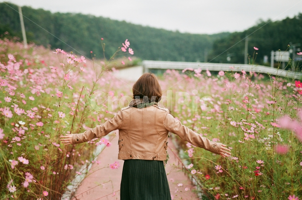 코스모스,가을,풍경사진,인물사진,필름사진,꽃,가을,계절,fall,autumn,season,사람,인물,인간,human,person,여성,여자,woman,female,lady,감정표현,기분,feeling,emotion