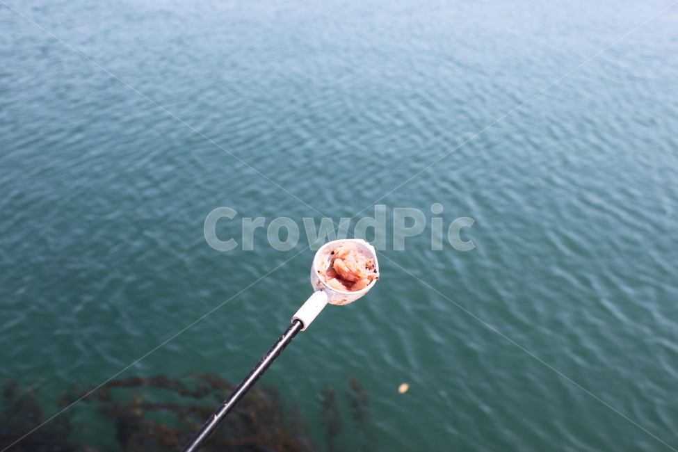 낚시,떡밥,새우떡밥,fishing,bait
