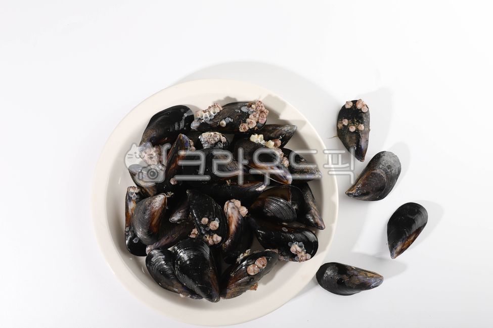 홍합,수산물,바다생물,먹거리,조개,음식,식재료,요리,food,cook,meal,dishes,food reserves,수산물,해산물,fishery products,seafood