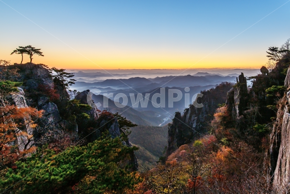 풍경,대둔산,소나무,바위,가을,단풍,일출,운해,가을,계절,fall,autumn,season,자연,풍경,nature,landscape,한국자연풍경,한국자연경관,korea nature landscape,outdoors,옥외,mountain,산