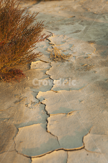 가뭄,진흙,땅,자연,nature,자연,풍경,nature,landscape