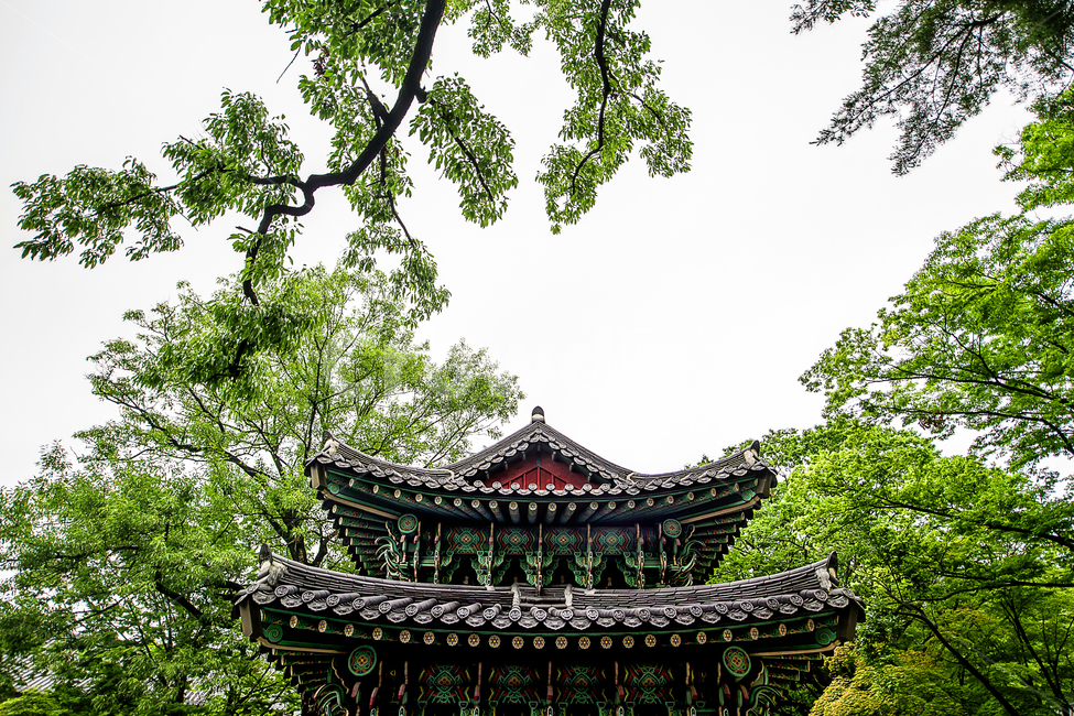 절,자연,풍경,종교,building,건물,shrine,신사,pagoda,탑,architecture,건축물,temple,신전,worship,예배,한국전통,한국문화,korean traditional,korean culture,건축물,건물외관,exterior,building,structure,architecture,construction