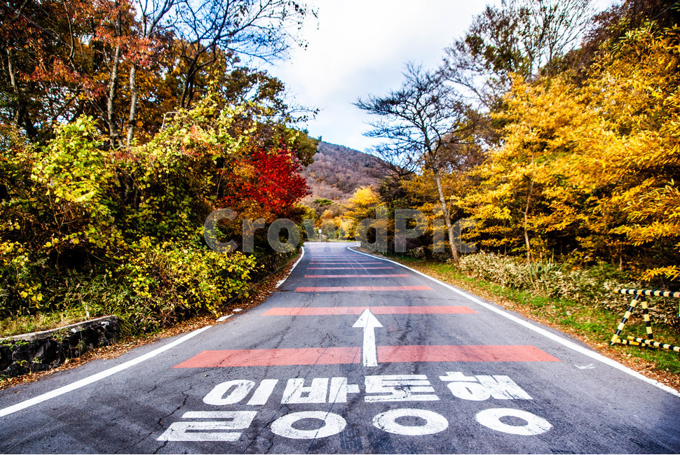 제주,제주도,한라산,한라산국립공원,영실,영실코스,어리목,어리목코스,1100로,1100도로,풍경,가을,단풍,가을,계절,fall,autumn,season,교통,교통수단,traffic,transportation,asphalt,아스팔트,road,도로,highway,고속도로,freeway,고속 도로