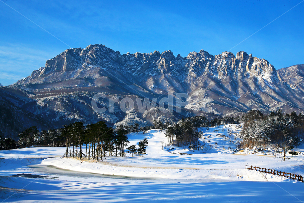 고성,울산바위,울산바위설경,설경,outdoors,옥외,mountain,산,nature,자연,mountainrange,산맥,plant,식물,tree,나무,fir,전나무,겨울,계절,winter,season,자연,풍경,nature,landscape