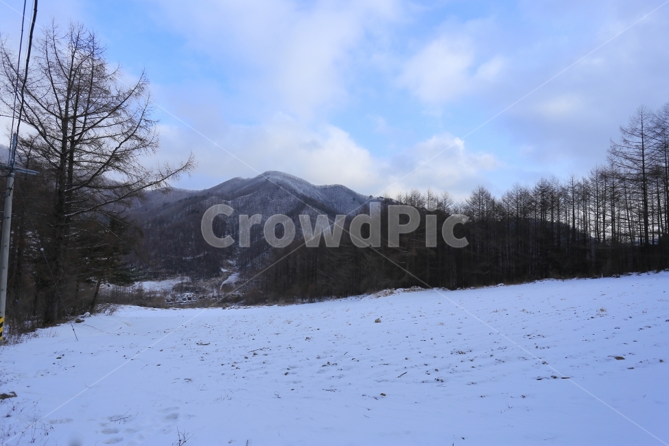 태백산,눈,겨울,풍경,설경,winter,snow,겨울,계절,winter,season,자연,풍경,nature,landscape,한국자연풍경,한국자연경관,korea nature landscape,outdoors,옥외,plant,식물,tree,나무