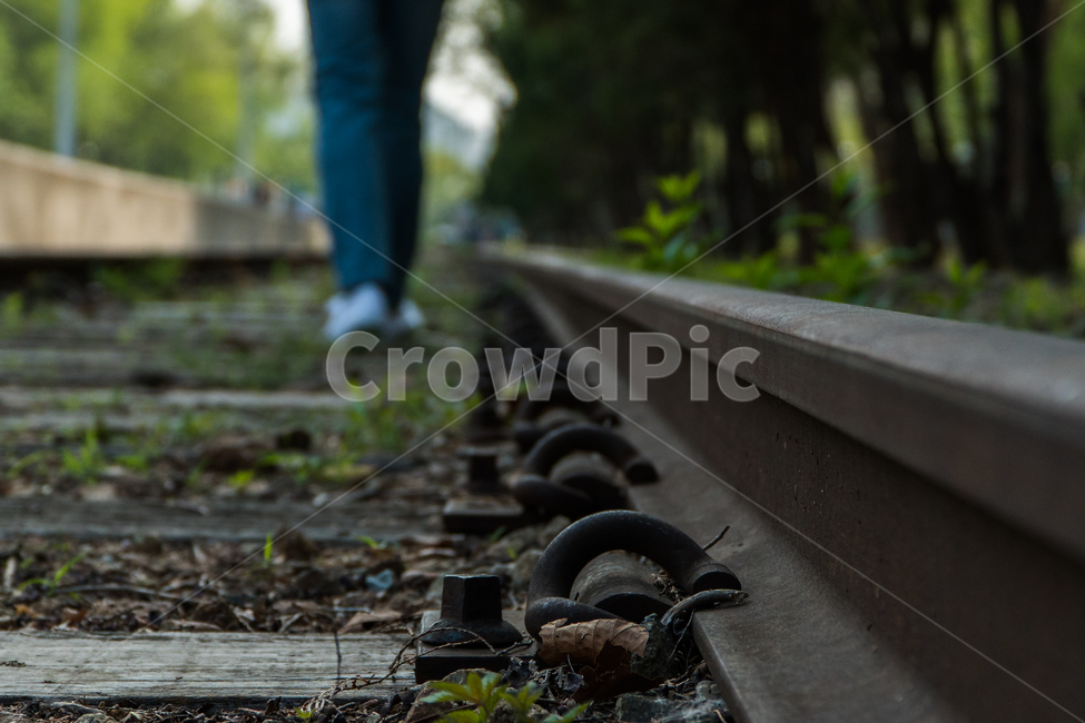 railway,철도,rail,레일,transportation,교통,traintrack,기찻길,교통,교통수단,traffic,transportation