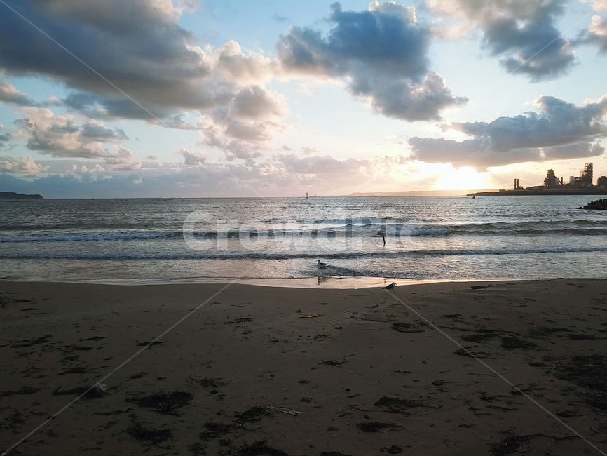 새벽,아침,nature,자연,ocean,대양,sea,바다,water,물,outdoors,옥외,shoreline,해안선,해변,바다,beach,sea