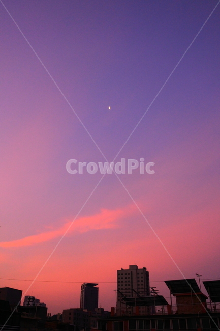 달,하늘,핑크하늘,핑크,보라,보라하늘,pink,purple,violet,sky,moon,해질녘,감성,감성사진,핑크구름,구름,cloud,cloudy,자연,nature