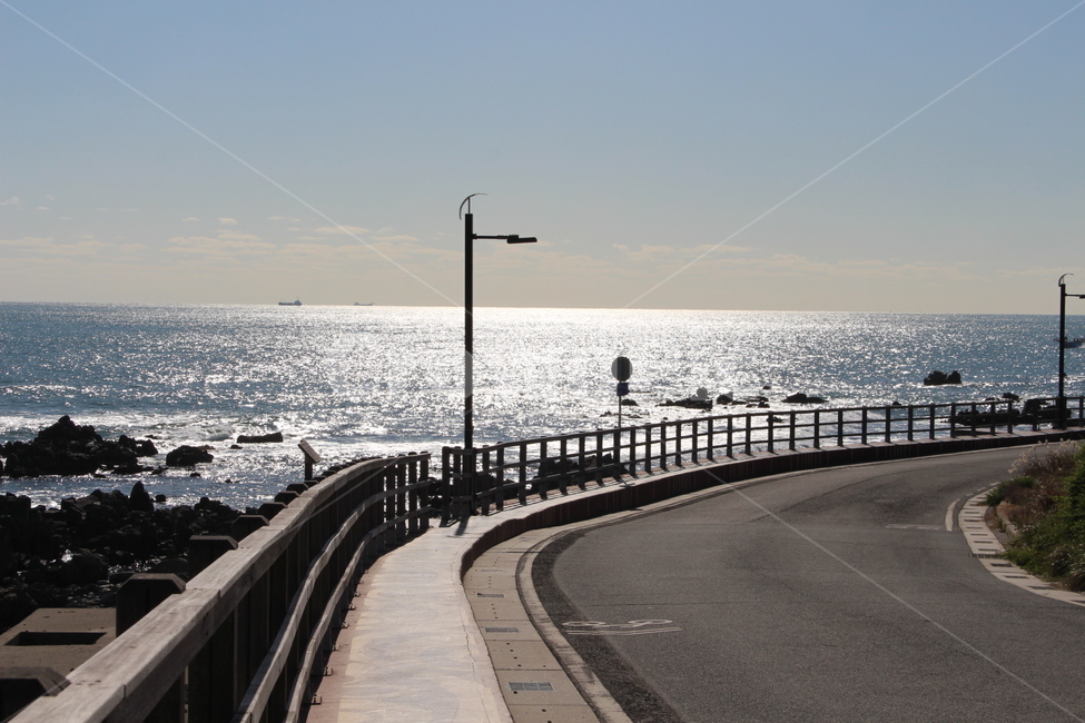 handrail,banister,bridge,다리,building,건물,railing,난간,바닷길,바다옆도로,바다