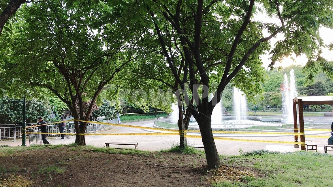 water,물,human,인간,person,가구,furniture,잔디,grass,벤치,bench,식물,plant,분수,공원,야외,outdoors