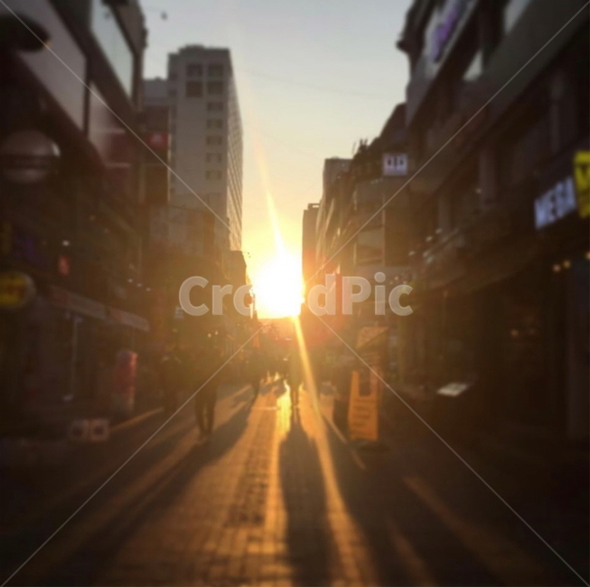 빛,역광,도심,건물,따뜻함