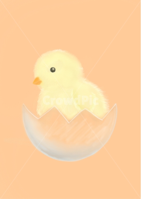 병아리,일러스트,알,알깬병아리,깨지다,egg,chicken,illustration,동물,animal,farmanimal,break,농장동물,농장,farm,그래픽,일러스트레이션,graphic,illustration