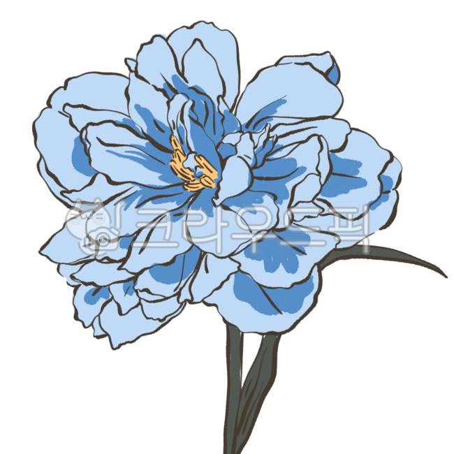 꽃,꽃그림,꽃일러스트,플라워,식물,식물그림,식물일러스트,라인드로잉,자연,flower