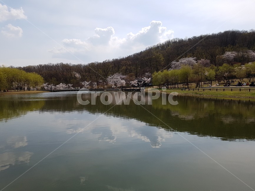 공원,계절,자연,풍경,호수,봄,nature,spring,season