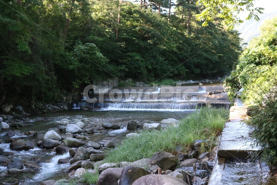 여름,휴가,계곡,물,나무,식물,초록,돌,바위,summer,natsu,vacation,kyuuka,valley,keikoku,water,mizu,tree,ki,plants,shokubutsu,green,midori,stone,ishi,rock,iwa,여름,계절,summer,season,자연,풍경,nature,landscape,outdoors,옥외