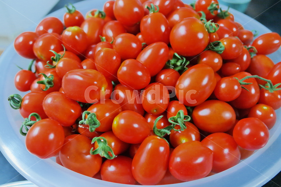 방울토마토,토마토,농작물,과일,채소,야채,먹거리,농산물,식물,작물,plant,red,빨강,신선,수확,열매,과일바구니