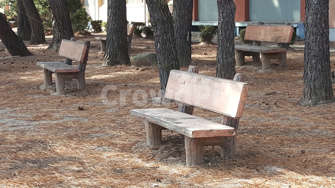 공원,벤치,의자,휴식,돌벤치,자연,인테리어