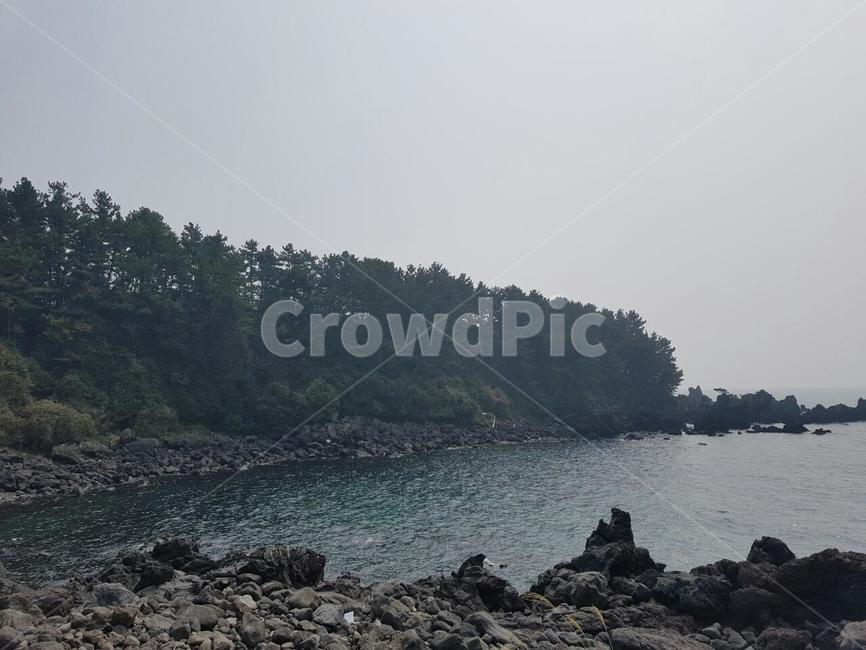 제주도,promontory,곶,nature,자연