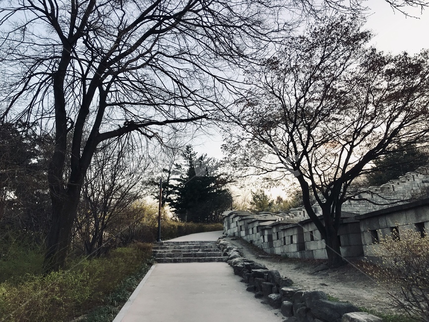 꽃,풍경,나무,성곽,산책,산,해질녘,저녁,하늘,자연,풍경,nature,landscape,한국자연풍경,한국자연경관,korea nature landscape,tree,plant,식물