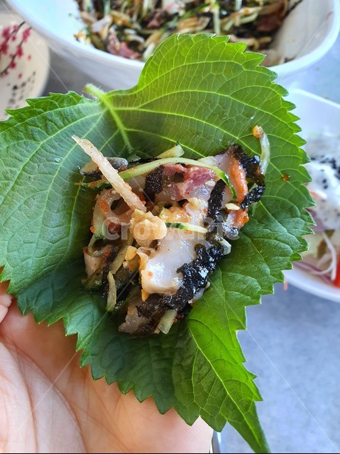 food,식재료,요리,seafood,물회,회요리,회,수산물,해산물
