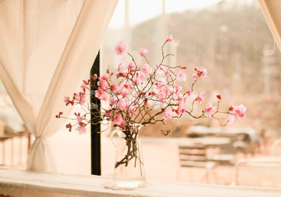 봄,진달레,화병,식물,plant,실내용화초,화분,화초,house plant