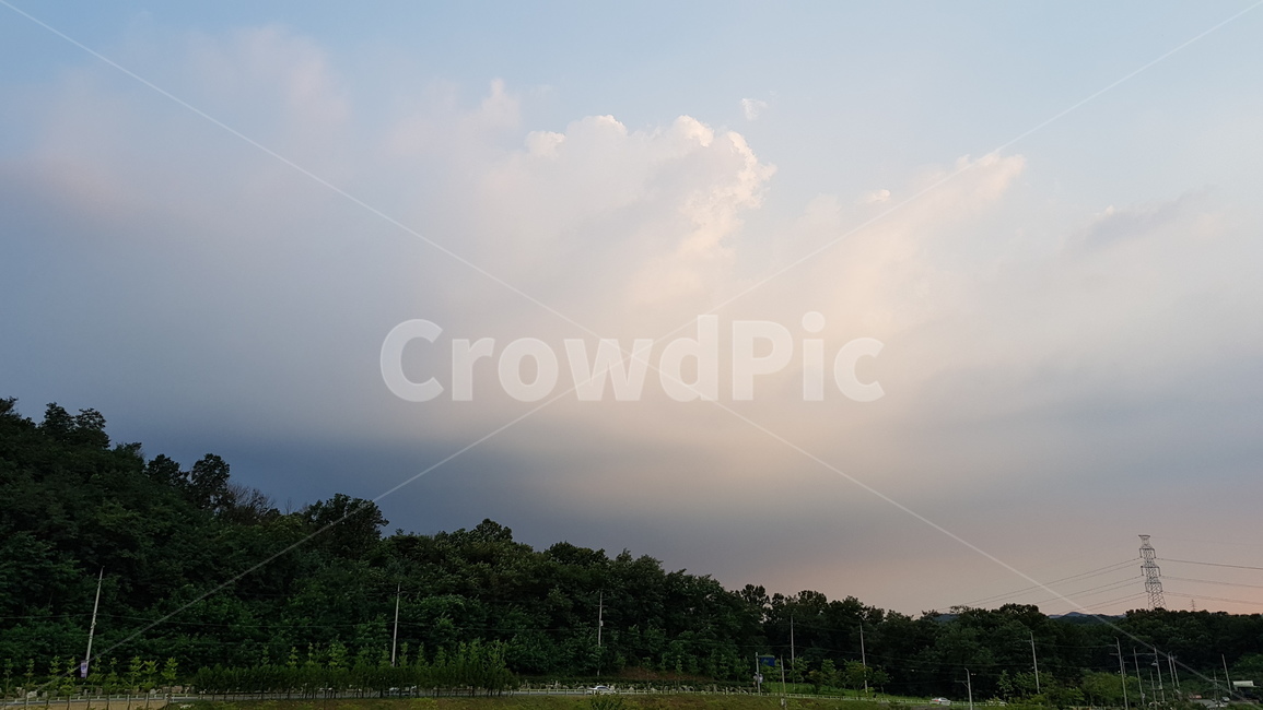 하늘,sky,구름,cloud,나무,tree,숲,forest,저녁,자연,nature,자연,풍경,nature,landscape,outdoors,옥외,weather,날씨