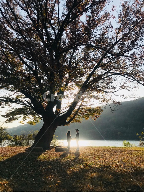 나무,강,커플,사람,tree,나무,trees,wood,연인,커플,사랑,lover,couple