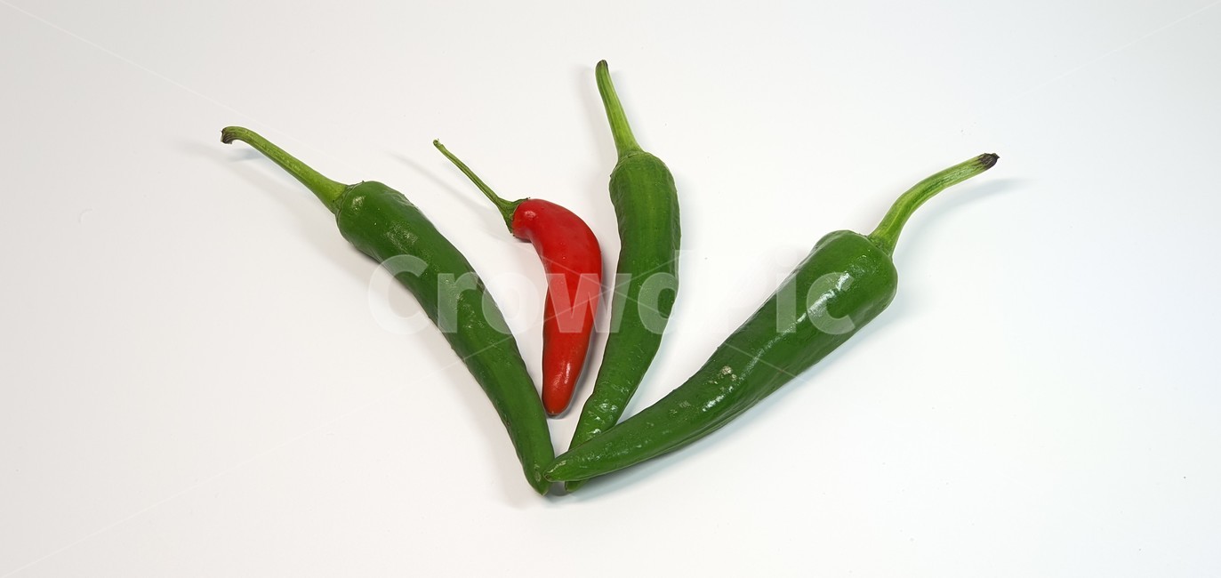 고추,채소,야채,식물,매콤,매움,food,vegetable,red,fresh,ingredient,ripe,pepper,hot,healthy,spice,chili,spicy,cooking,organic,background,freshness,cayenne,paprika,isolated,green,white,mexican,color,chilli,plant,vitamin,heat,closeup,seasoning,raw,음식,식재료,요리,food,cook,meal,dishes,food reserves,채소,야채,vegetables