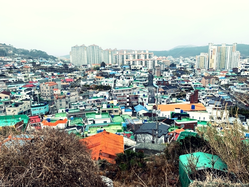 전경,풍경,통영,도시,빽빽함,도시,풍경,city,landscape,한국도시풍경,한국도시경관,korea cityscape,urban,어반,building,건물,slum,빈민굴