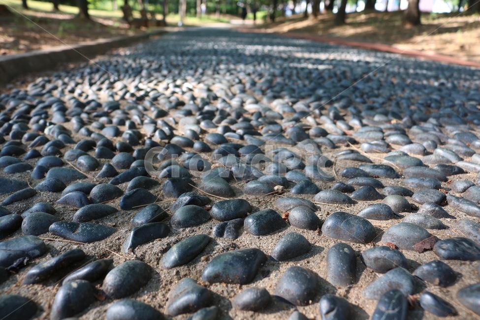 돌,시멘트,지압,회색,stone,cement,chiropractic,grey,ishi,semento,shiatsu,haiiro,자연,풍경,nature,landscape