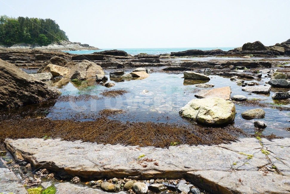 여행,travel,여행사진,국내여행,혼자여행,사진,여수,여수여행,배경사진,배경,이쁜사진,색감,색감좋은사진,풍경,풍경사진,사도,섬여행,섬,바다,자연,풍경,nature,landscape,rubble,파편