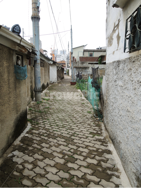 골목길,오래된골목길,옛날길,오래된골목,작은골목,alley,byway,narrowpath,backstreet,darkalley,obscurealley,골목길,alley