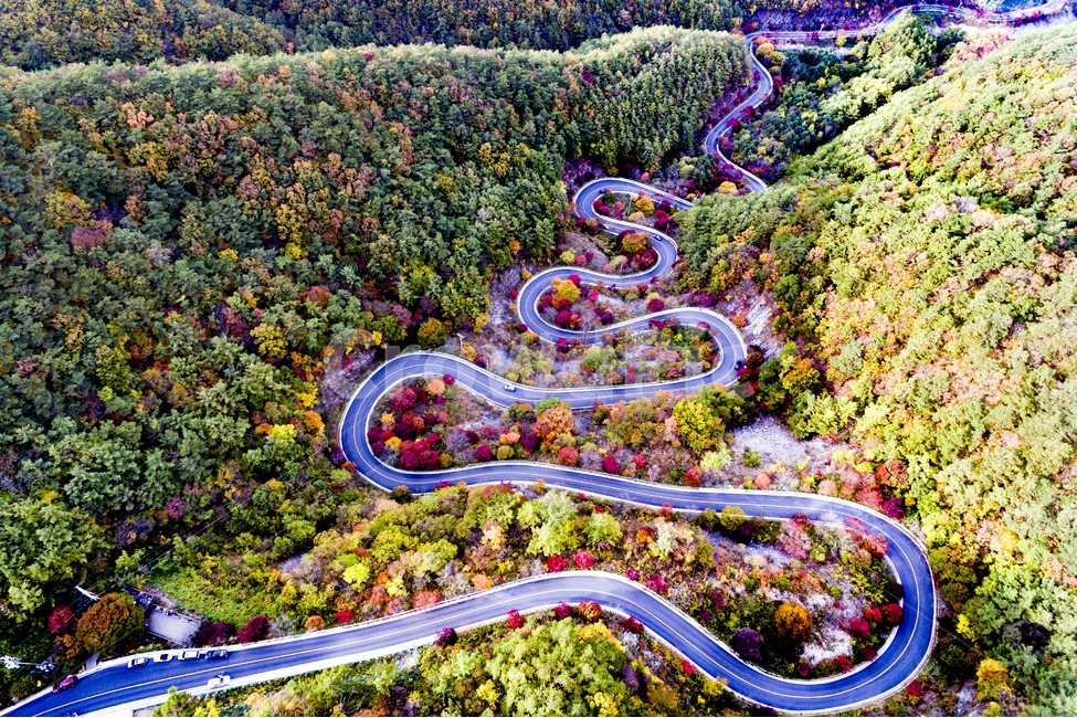 드론사진,항공사진,풍경사진,가을단풍,드론,가을,계절,fall,autumn,season,자연,풍경,nature,landscape,한국자연풍경,한국자연경관,korea nature landscape,scenery,outdoors,옥외,경치
