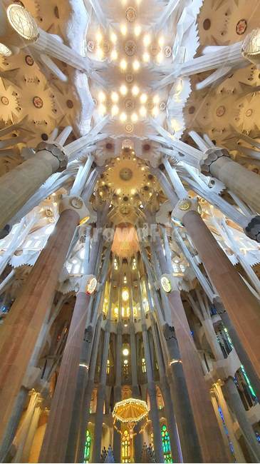 스페인,베르셀로나,사그라다,파밀리아,성당,가우디,spain,sagrada,familia,catholic,church,gaudy,barcelona,건축물,building,lighting