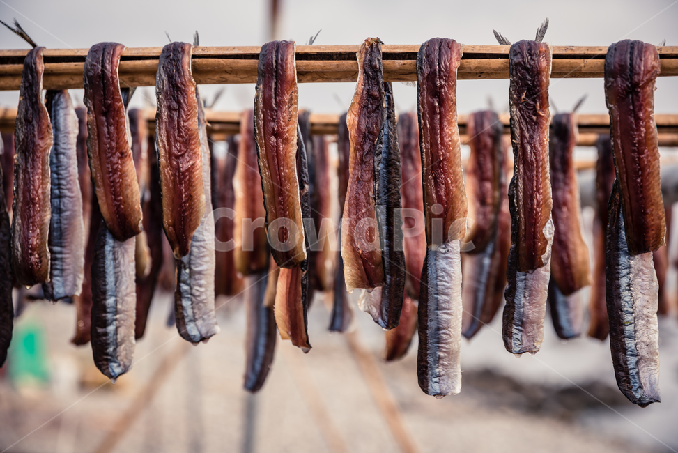 과메기,구룡포,동해,꽁치,거조,바다,술안주,안주,아침,해안,해변,파도,특산물,포항,해풍,신선,해산물,수산물,요리,겨울,sea,food,음식,식재료,요리,food,cook,meal,dishes,food reserves,수산물,해산물,fishery products,seafood