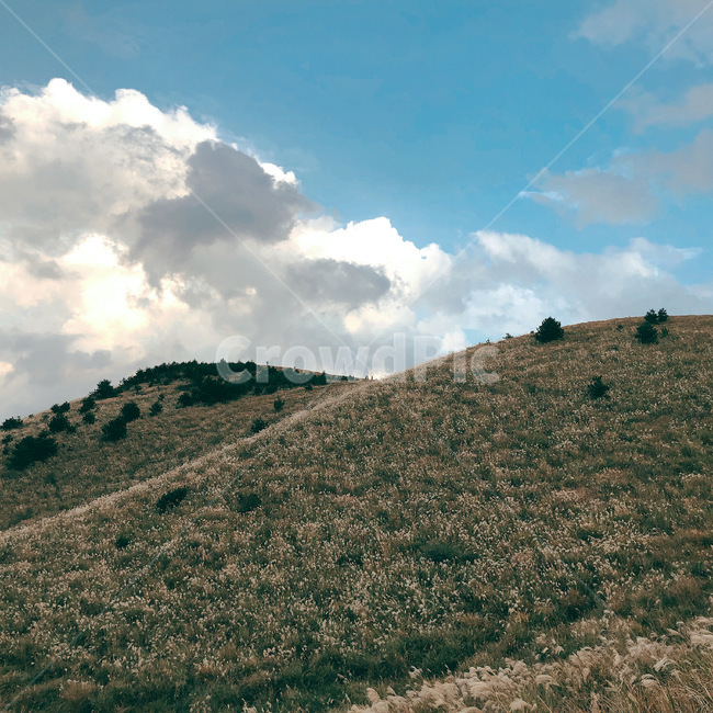 hill,outdoors,옥외,nature,자연,언덕,grassland,목초지,오름,제주,제주도,용눈이오름