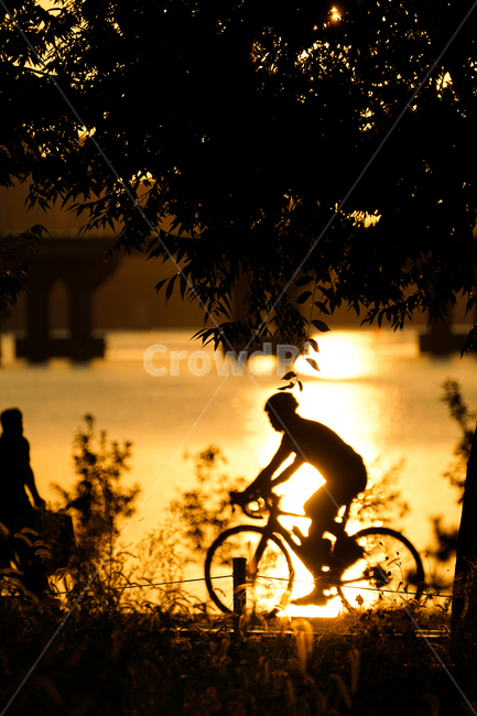human,인간,person,사람,자전거,노을,야외,인물실루엣,사람실루엣,character silhouette,human silhouette,스포츠,레저,운동,sports,leisure,exercise