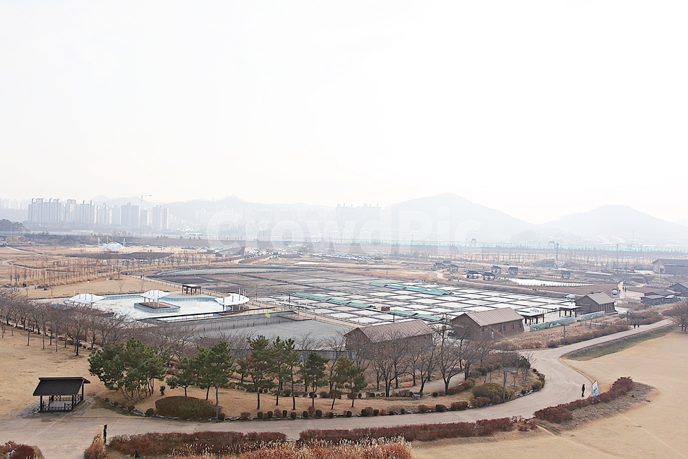 염전,시흥갯골생태공원,소금창고,소금,식물,자연,풍경,건물,건축물