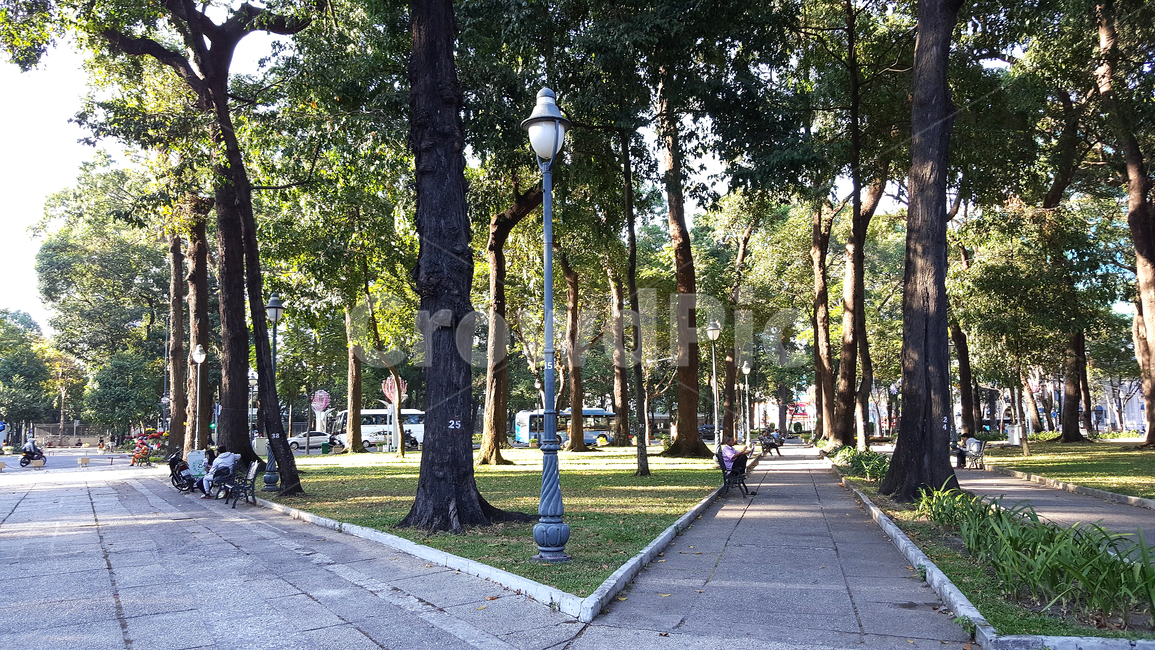 공원,자연,나무,휴식,풍경,베트남,park,베트남공원,nature,trees,landscape,vietnam