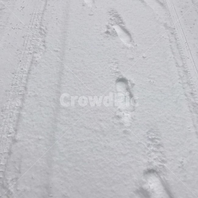 눈,발자국,snow,겨울,winter,흰색,white,산책,발,얼음,ice