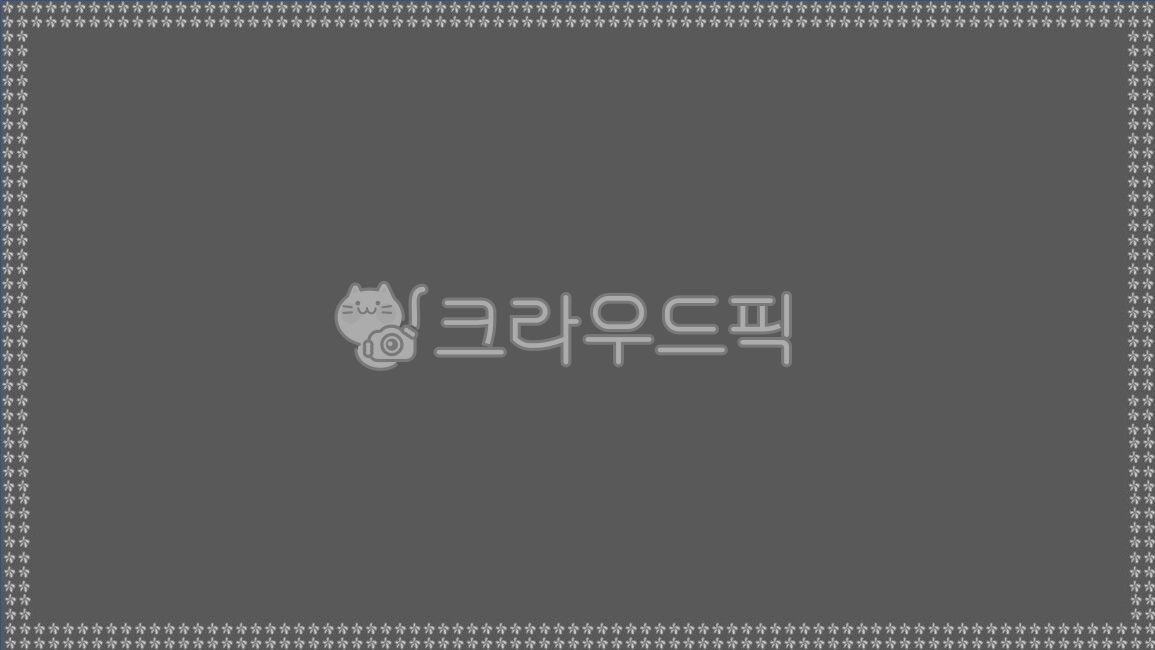 표지,겉표지,직사각형,사각형,팜플렛,보고서,라인,규칙,반복,테두리,프레젠테이션,파워포인트,커버,발표,게시판,안내문,포스터,현수막,배경,바탕,레이아웃,백그라운드,배경화면,바탕화면,무늬,도형,모양,브로슈어,브로셔,책표지,북커버,시안,여백,프레임,꽃,꽃잎,벽지,가벽,도배,인테리어,디자인,보드,powerpoint,cover,line,pattern,background,flower