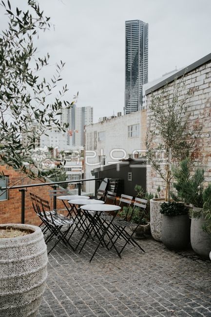 cafe,pot,olive,olive tree,restaurant,brick,event space