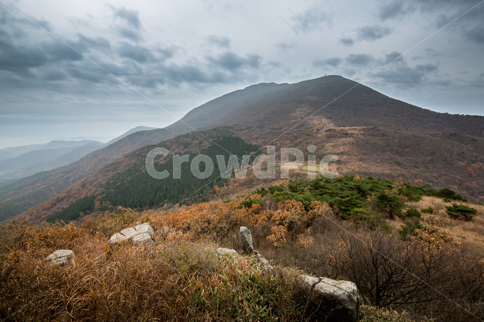 무등산,나무,숲,산길,산,억세,가을,계절,fall,autumn,season,자연,풍경,nature,landscape,한국자연풍경,한국자연경관,korea nature landscape,hill,언덕,outdoors,옥외