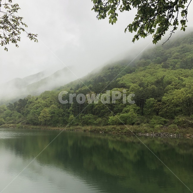 안개,숲,산,호수,자연,자연경관,호수거울,거울같아,경치,거울,반사