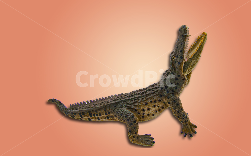 animal,동물,lizard,도마뱀,악어,공룡,피규어,장난감