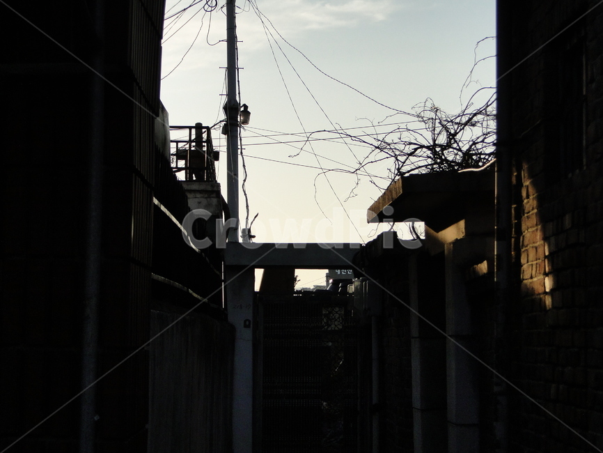 sky,하늘,감성사진,일몰,햇빛,가로등,건물,building,sunset,sunshine,right,tree,도시,풍경,city,landscape,골목길,alley