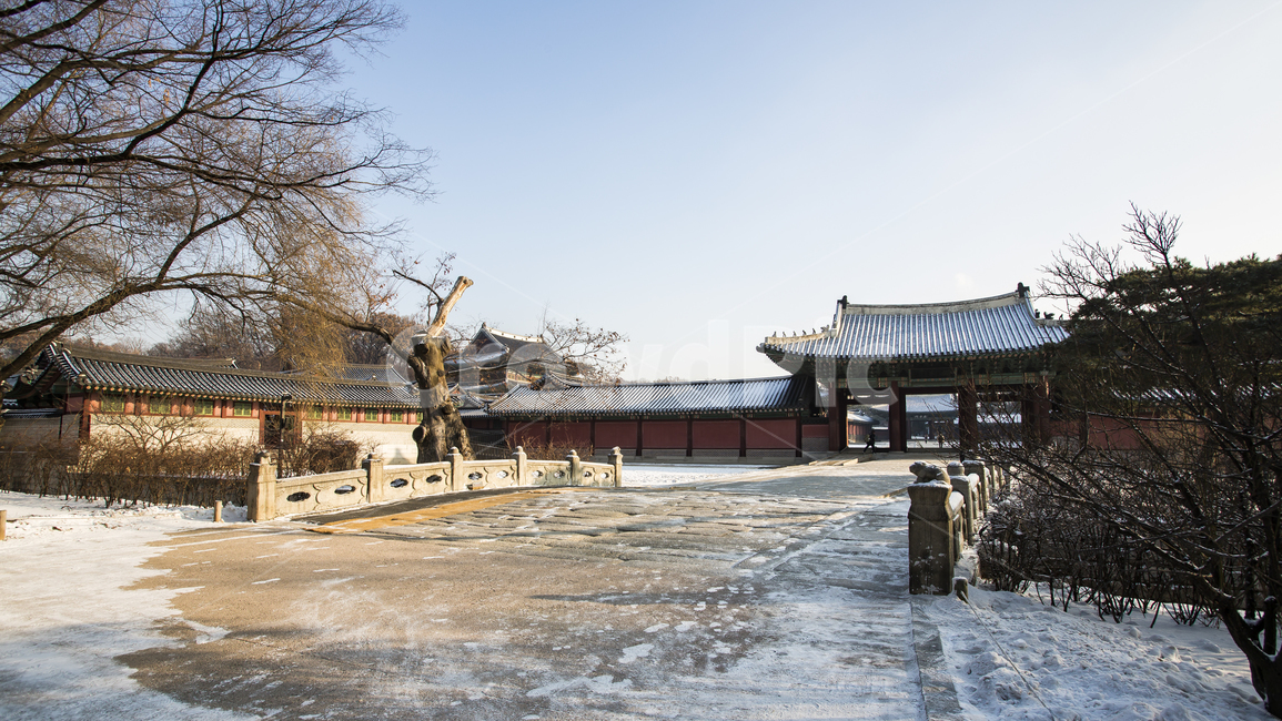 고궁,역사,서울,창덕궁,비원,조선,겨울,계절,winter,season,한국전통,한국문화,korean traditional,korean culture,랜드마크,landmark,tourist attraction,한국랜드마크,한국관광지,한국명소,korea landmark,korea tourist attraction,건축물,건물외관,exterior,building,structure,architecture,construction